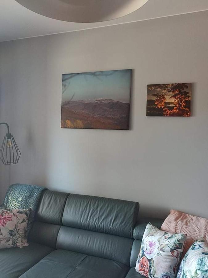 Lux Apartament Odkryj - Bieszczady Ustrzyki Dolne Eksteriør billede
